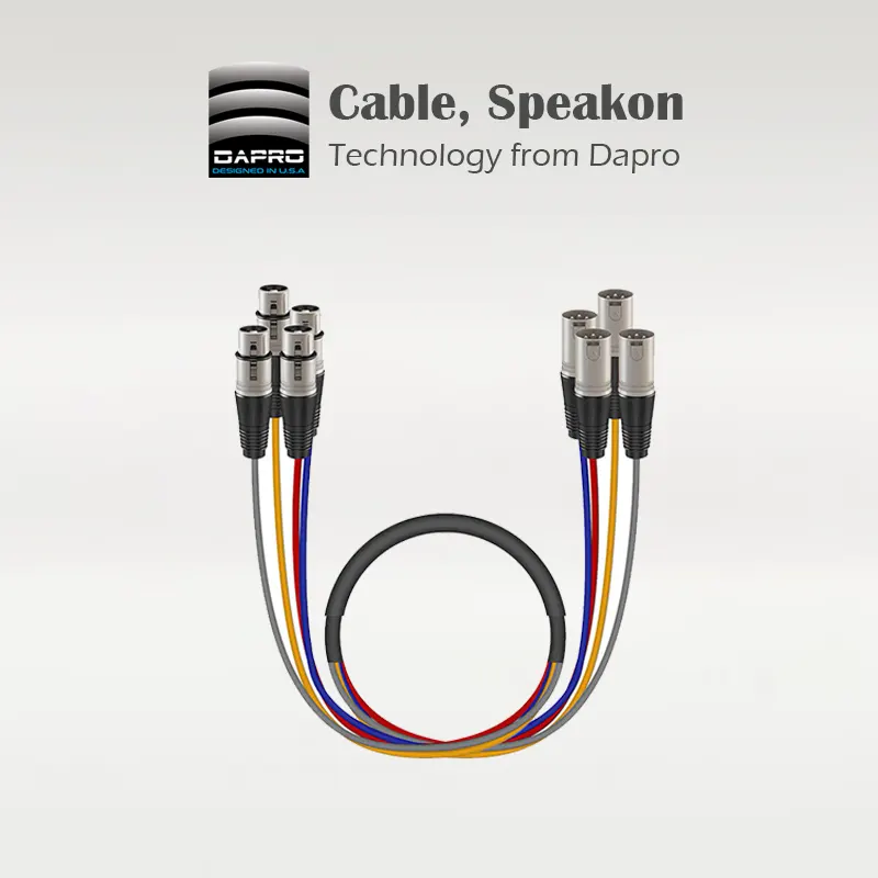 Cable - Speaker-2024