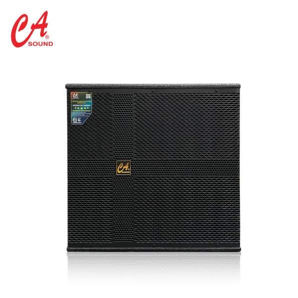 Loa CA Sound CT-TS-18 chính hãng