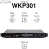 Bo-xu-ly-wharfedale-pro-wkp-301