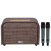 Loa-acnos-acoustic-3
