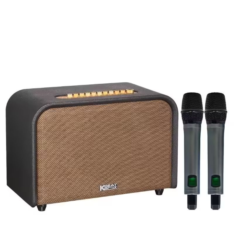 Loa-acnos-acoustic-3-v26