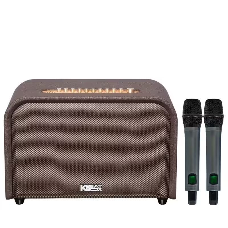 Loa-acnos-acoustic-3