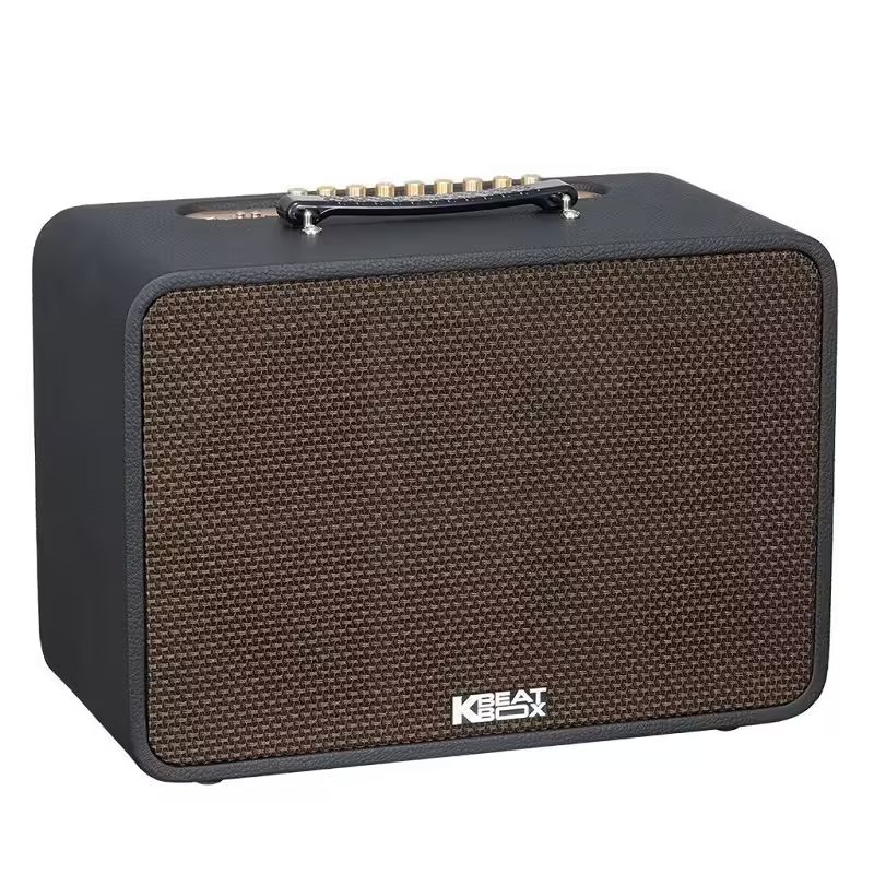Loa-acnos-cs250pro