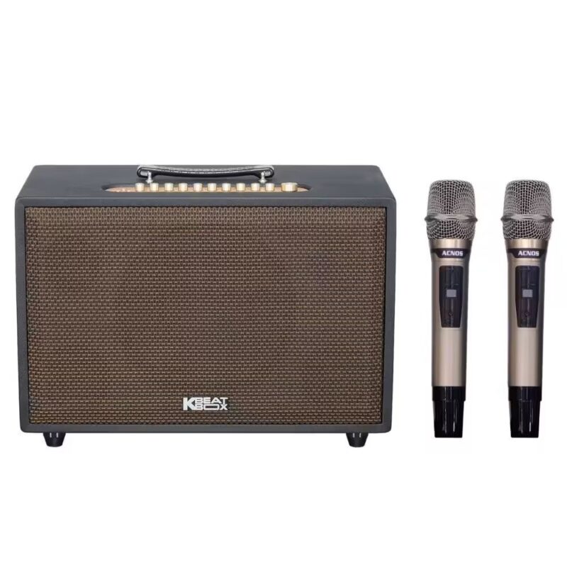 Loa-acnos-cs3800-pro