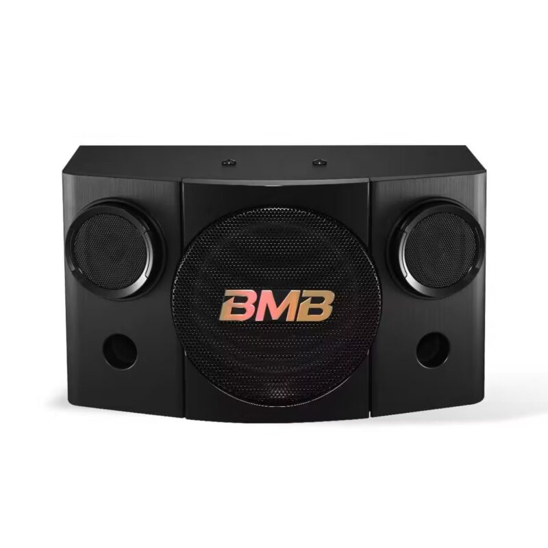 Loa-bmb-cse-308-se
